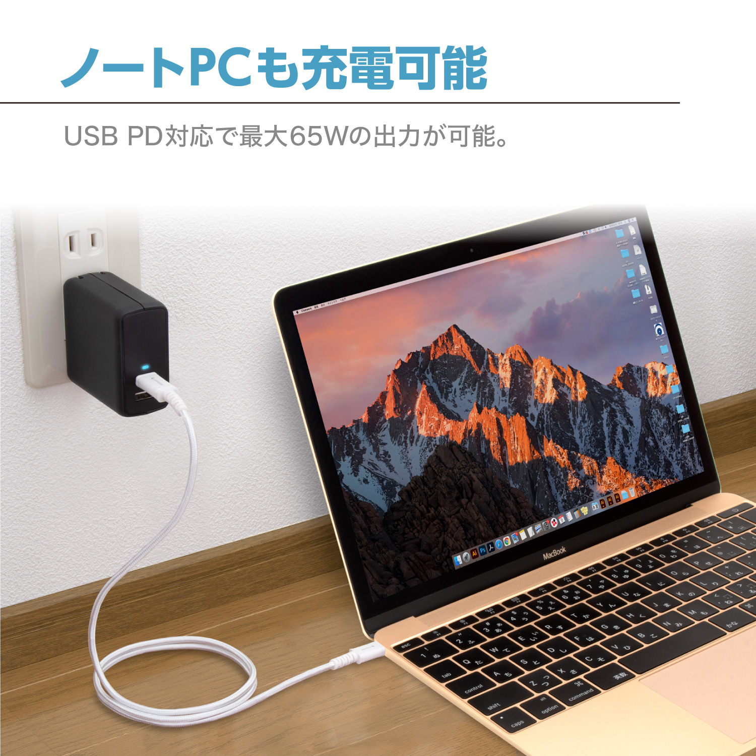 W対応 Type C＆USB A急速充電器 ACPD   株式会社センチュリー